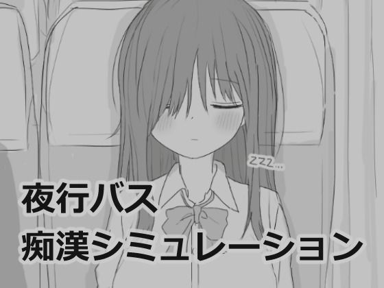 夜行バス痴●シミュレーション【エロフラ部❤制服】レビュー4.86
