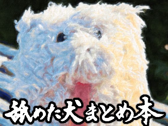舐めた犬まとめ本【舐めた犬❤ギャグ・コメディ】レビュー4.86
