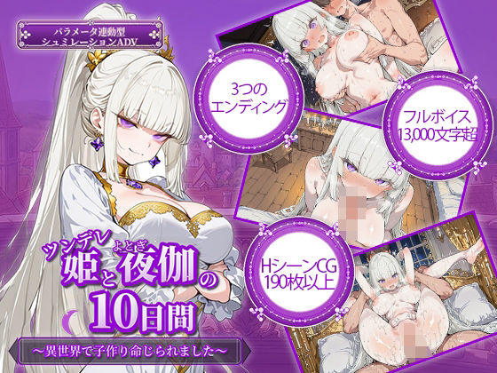 ツンデレ姫と夜伽の10日間 〜異世界で子作り命じられました〜【電脳ヒロインズ❤ファンタジー】レビュー