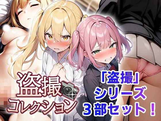 盗撮コレクション【フェアリーソフト❤辱め】レビュー3.00