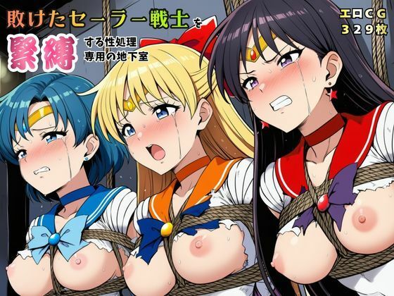 敗けたセーラー戦士を緊縛する性処理専用の地下室【マーキュリー・ヴィーナス・マーズ】【猫にマタタビ❤拘束】レビュー