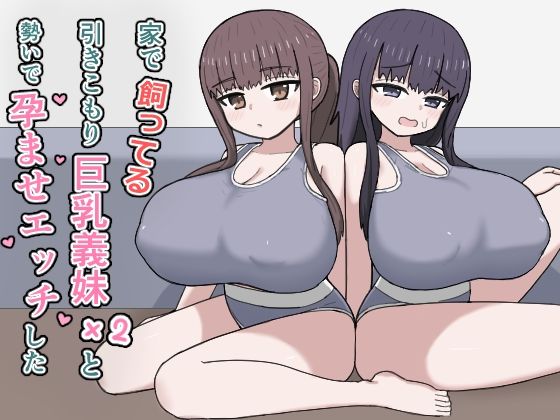 家で飼ってる引きこもり巨乳義妹×2と勢いで孕ませエッチした【にしかわ屋❤デモ・体験版あり】レビュー