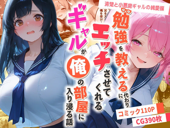 勉強を教える代わりにエッチをさせてくれるギャルが俺の部屋に入り浸る話 〜清楚と小悪魔ギャルの純愛編〜【夜の快楽❤制服】レビュー