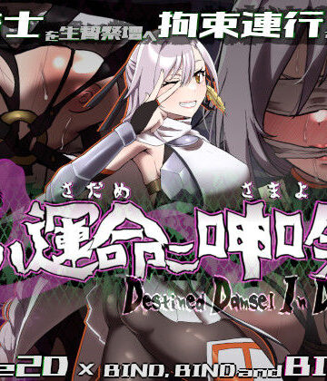 姫ハ運命ニ呻吟ヘリ Destined Damsel In Distress【エーギグ・エーレ・ファウンデーション❤動画・アニメーション】レビュー3.00