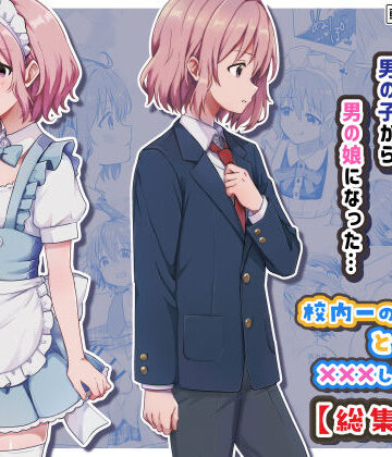 校内一の美少年と×××した話【総集編】【StudioHALTO❤女装・男の娘】レビュー