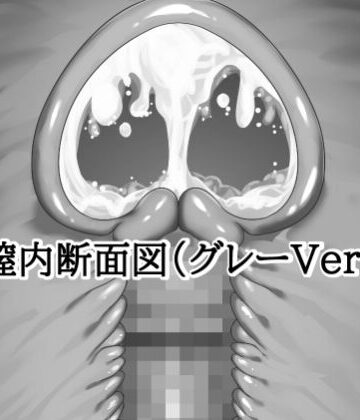 膣内断面図素材（グレーVer.）【水の木❤イラスト・CG集】レビュー