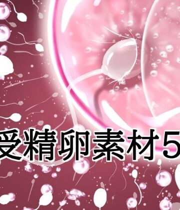 受精卵素材5【水の木❤イラスト・CG集】レビュー