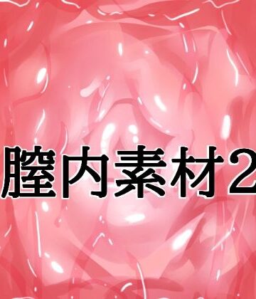 膣内素材2【水の木❤イラスト・CG集】レビュー