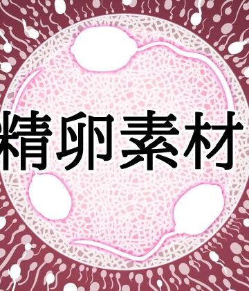 受精卵素材10【水の木❤イラスト・CG集】レビュー